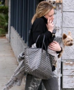 2376 �к� Goyard  ����� Goyard ���¿� Goyard ʱ��Ů�� ���� �����