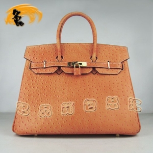 6089 �������¿�������Ů�� Hermes Birkin ����� Hermes����� ��ɫ���