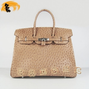 6089 ������Ů�� Hermes����� Hermes Birkin ����� �����ƣ�35�� ǳ��ɫ����
