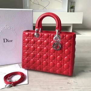Dior�ϰ� Lady Dior ��������� �߸��� ��ɫ��Ƥ ����