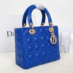 Dior�ϰ� Lady Dior ��������� ��� �������Ƥ �� С��