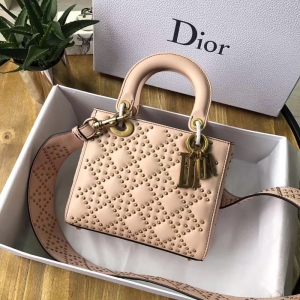 M0579 Dior�ϰ� LADY DIOR��ɫСţƤ��������� �ζ����ᵥ���