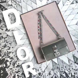 5817 DiorŮ�� ���Ų�������� ����СţƤ �ϰ��ִ� ����������� ����ɫ