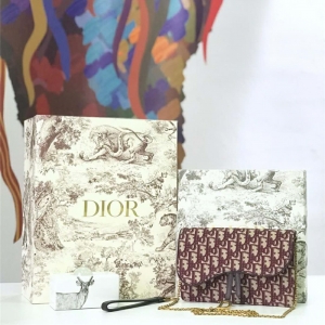 M5620 Dior ObliqueŮ�� �Ứ���� �ϰ������� Dior���ð� �ƺ�ɫ