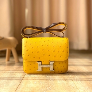 Hermes constanceϵ�� �����˿����� ���ֹ���������Ƥ ̫����