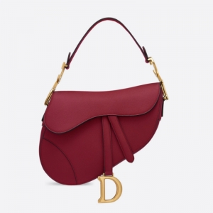 M0446 Dior Saddle����������� Dior������ ��ɫ