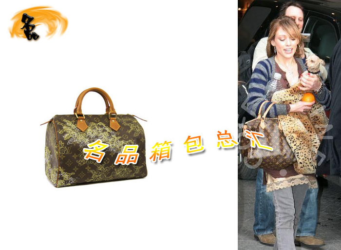 M95397 LV经典老花 LV女包 LV手提包 LV枕头包 LV绣花包